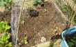 Comment construire un treillis de jardin potager de faible coût
