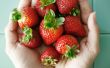 Confiture de fraises rhubarbe