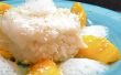 Coco Mango riz gluant w / Ginger Air