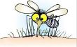 Comment se débarrasser d’une piqûre de moustique