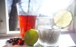 Chia Fresca : Ajouter des éléments nutritifs à n’importe quelle boisson
