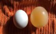 Comment faire pousser un œuf à l’aide d’osmose