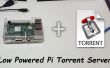 Serveur Torrent bricolage framboise Pi