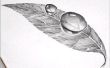 Dessin au crayon facile d’Art 3D: Comment dessiner 3D Dew Drop sur feuilles