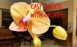 Succès facile des orchidées