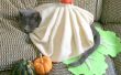 Costume de chat bricolage : Soupe boulette ! 