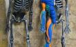 Muscle anatomie avec Sugru et un squelette d’Halloween