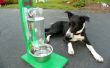 La Awesomest plus cool plus simple bol d’eau pour chiens & chats ! 