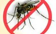 La dengue anti-moustique - repoussant para Mosquito da la Dengue