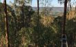 BRICOLAGE arbre MANOR - Australia Day prêt