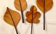Decorative Leaves from Wood
