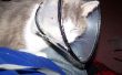 Cat comique Simple cône Consolateur du Dr BoB