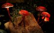 Enchanted Forest lumières champignons