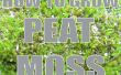 How To Grow : Peat Moss