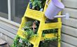 Jardin d’herbes aromatiques Ladder planteur