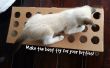 Fabriquer un jouet pour votre chat à l’aide de carton