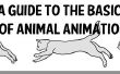 Un Guide pour les bases de l’Animation animale