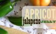 Confiture d’abricot jalapeno + freebie tags