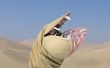 Dune géante Sandworm Shai Hulud Costume