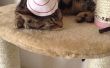 Chapeau pour chats à cône