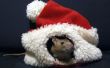 Chapeaux de Rat de Santa