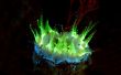 UV / plongée sous-marine Fluorescent Light (Trivial)