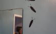Bug personnels autocollants avec Portrait Silhouette
