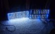 Lumière de LED Aquarium avec Moonlight