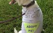 Non et coudre recyclé chien T-shirt