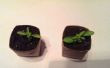 Rouleau de papier toilette biodégradable Seedling Pots