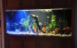 Encore un autre - haute luminosité LED (HBLED) Aquarium lampe
