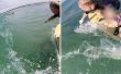 Construire un pôle GoPro Surf