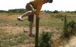 Comment sauter sur une clôture