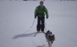 Comment faire pour Jour de Ski avec votre chien