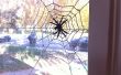 Sugru Spiderweb