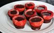 Lunettes de tir de fraise couverts chocolat