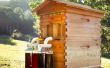 Mesurer les heures de lumière de jour - projet ruche distante