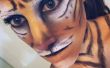 Demande : Transformation de maquillage tigre