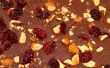 Bittersweet chocolat écorce avec fumé sel marin, rôti de Cranberries amandes & secs