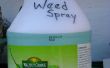 (Bleu-) Vert herbe Spray - à partir d’ingrédients ménagers. 