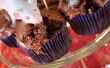 Cupcakes infestés de rat