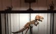 Lié de squelettes de dinosaures en tôle de fil