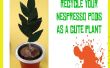 Plante en Pot Nespresso Pod