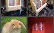 Bunny lapin hydratation gare faite de bois