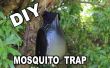 Comment faire un Ovitrap piège moustique