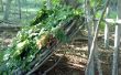 Comment créer un abri adossé à la forêt de feuillus