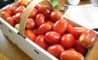 Mise en conserve de tomates = Summertime tout au Long de l’année ! 