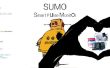 SUMO : Smart cardiofréquencemètre (un Low Cost Smart ECG)