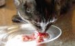 Rendre les aliments crus de Cat
