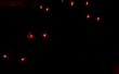 Super atTiny85 Spooky Evil LED yeux de Doom utilisant et IDE Arduino